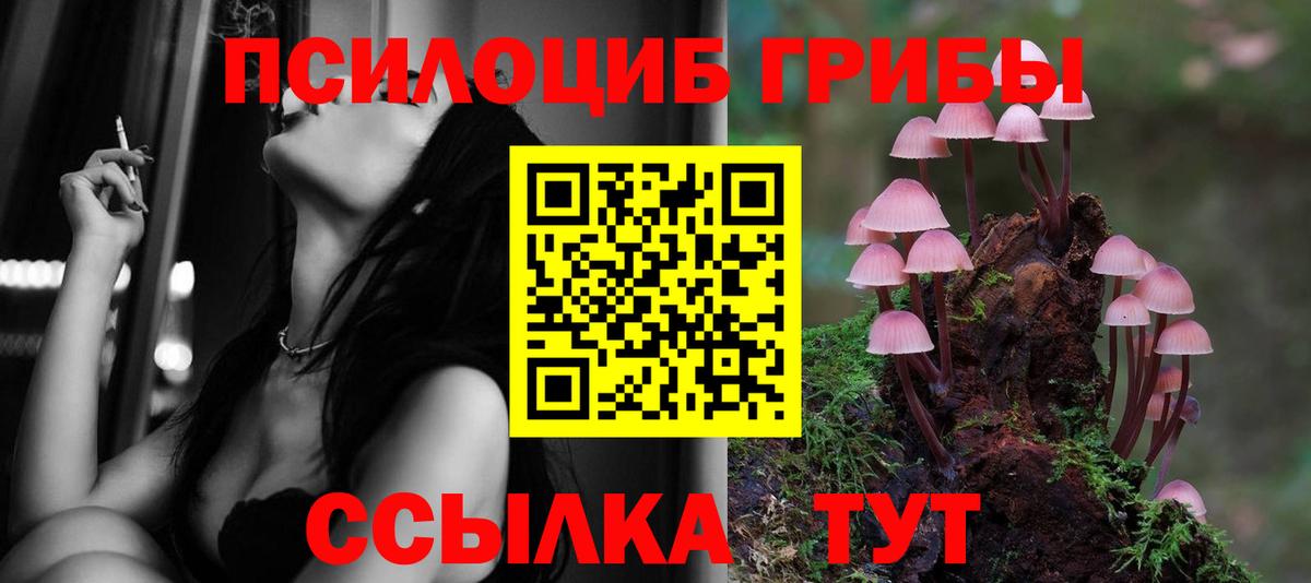 Галлюциногенные грибы ЛСД Россошь
